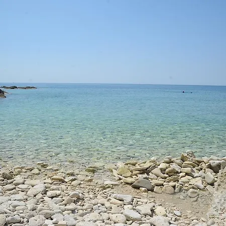 Grcic *